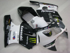 White and Black Monster - NINJA ZX-12R 00-01 Fairing Kit